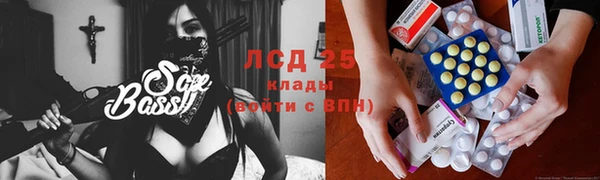 шишки Алексин