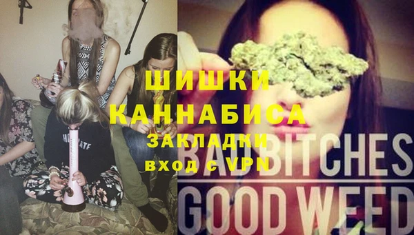 шишки Алексин
