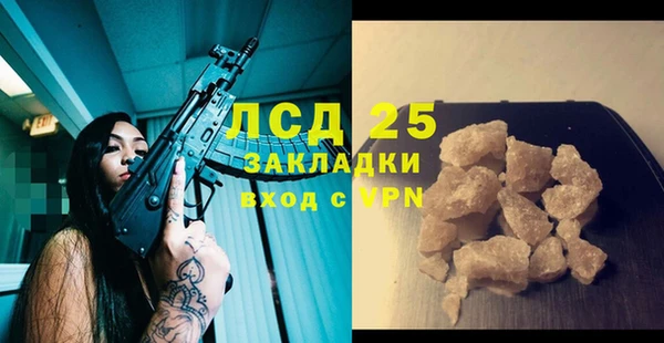 шишки Алексин