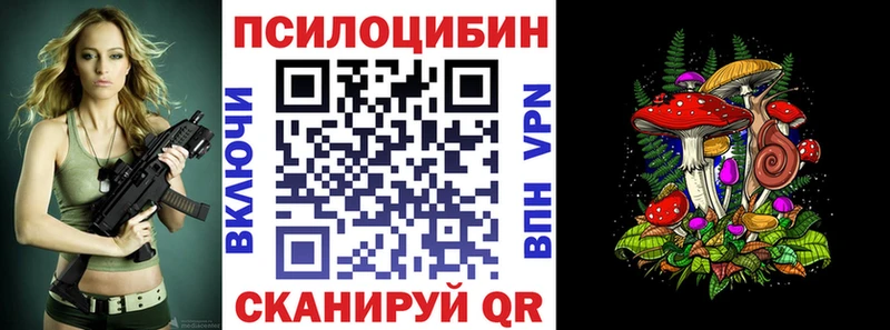 магазин продажи   Чебоксары  Галлюциногенные грибы MAGIC MUSHROOMS 